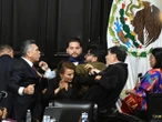 'Alito' con valor ante un gallito Fernández Noroña, el corrido viral ¡Arre con la que barre!