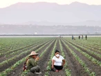 ‘Hagamos que nos valoren’: Inician campesinos su huelga de 72 horas en EU