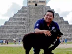 Eran perros callejeros, hoy vigilan una de las Nuevas Siete Maravillas del Mundo