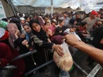 Hambruna en Gaza continúa a pesar de la tregua firmada por Israel: OMS