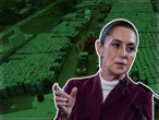Se investiga posible colusión de trabajadores de Pemex en red de huachicol: Sheinbaum