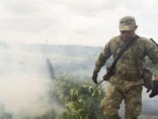Ejército y Fuerza Aérea destruyen 234 plantíos de amapola y mariguana en cinco estados