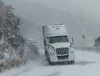 Chihuahua se pinta de blanco tras nevadas 