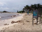 Tulum enfrenta su peor crisis turística en años; hoteleros reportan ocupación en cero