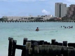 Playas de Cancún más afectadas por sargazo en 2025