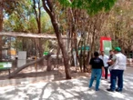 Detecta Profepa serias irregularidades en el Zoológico de Culiacán