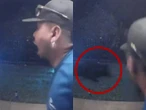 Hombre es atacado por un oso justo en la puerta de su casa | VIDEO