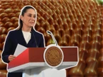 Acuerdo para fijar precio de exportación del jitomate, propuesto por productores: Sheinbaum