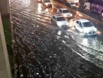 ¿Qué nivel de inundación puede soportar tu auto sin llegar a ser pérdida total?