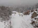 VIDEO: ¡Carreteras congeladas! Nieve aísla a comunidades en Chihuahua