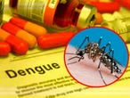¿Qué sí y qué no tomar en caso de contraer dengue?, esto recomienda la Ssa