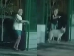 ¿Molestia por el balón? Extranjeros agreden a jóvenes deportistas en Baja California | VIDEO