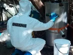 Semar desmantela narcolaboratorios en Sinaloa; decomisa casi media tonelada de droga