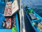 EU procesa a pescadores mexicanos por captura ilegal de huachinango en el 'Golfo de América'