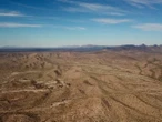 Saguaros, cardones y grandes cactáceas mueren de sed en Desierto de Sonora