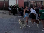 Esqueletos y perritos en los huesos, VIDEO desgarrador del caso SLP