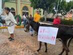 Pobladores toman palacio municipal en Veracruz y amenazan con pasear en burro a alcaldesa 