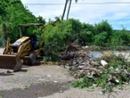 Inundaciones, apagones, caída de árboles, palmeras, techos…, lo que dejó ‘Dalila’ en Guerrero