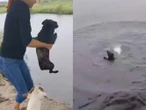 Joven es multada con 17 mil pesos por maltratar a un perro ‘por diversión’ | VIDEO