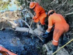 Restablecen el suministro de agua en Tuxpan después del derrame en el río Pantepec