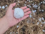 ‘Granizotes’ caen en norte y centro de Tamaulipas