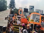 ‘Los matan y embolsan, o los queman con agua y los despellejan vivos’