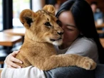 Restaurante en China ofrece abrazos… de cachorros de león