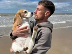 Aaron Ramsey organiza búsqueda masiva por su perrita Halo y aumenta recompensa