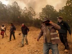 Registra México 99 incendios forestales; Sinaloa tiene 16 activos