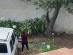 Identifican a Hilda ‘G’ como la mujer que colgó a un perrito | VIDEO