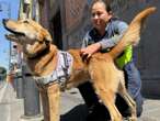 Paristas de la BUAP expulsan al perrito ‘Carolino’; era la mascota de la universidad