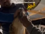 Hombres obligan a beber whisky a un perrito en Nuevo León 