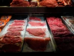 Exportar carne en lugar de ganado vivo a EU, plantea Sheinbaum en Coahuila