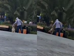 Evidencian en VIDEO maltrato a un perro en un jardín en Pachuca