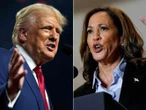 Trump exige una ‘gran investigación’ sobre la campaña de Harris por el respaldo de celebridades