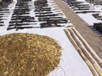 Juez de Control de Tamaulipas vincula a nueve por portación de armas