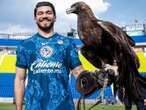 América celebra Día Nacional del águila real con 'Celeste'