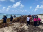 Semar aplica Campaña Nacional de Limpieza de Playas y Costas