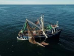 Impone EU embargo comercial contra 21 pesquerías mexicanas por muerte de especies