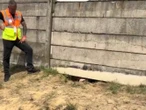VIDEO: "Sin pagar" Fans intentan colarse al GP de Hungría cavando un túnel