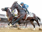 Sovereignty, un titán en la pista de Saratoga