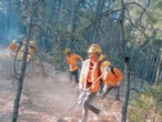 ‘Milagro’ en Chihuahua, lluvias sofocan incendios forestales