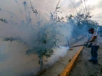 México registra casi 7 mil casos de dengue; Jalisco la entidad más afectada