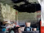 La baticueva de Tlaxcala: 2 mil murciélagos son protegidos por Profepa