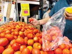 Productores nacionales reaccionan ante arancel al tomate