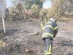 Afinan bomberos combate a incendios forestales