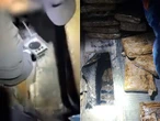 Gabinete de Seguridad detiene a dos personas con 50 kilos de heroína en Sonora