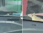 Rata se sube a auto en plena avenida de NL y mujeres gritan asustadas