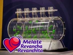 Cómo jugar al Melate con estos tips para maximizar tus probabilidades de ganar