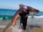 VIDEO: A lo 'Chanoc', hombre captura tiburón tigre con las manos 
